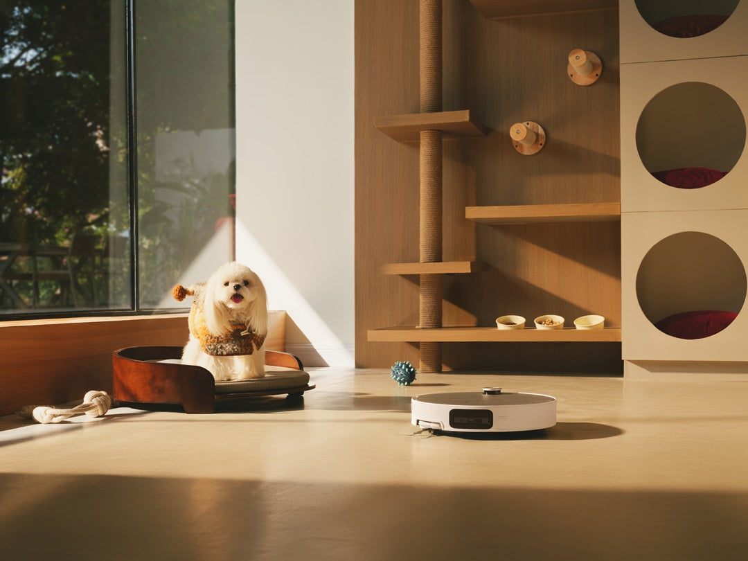 Những lý do nên dùng thử robot hút bụi trước khi quyết định mua
