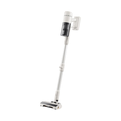 Roborock H60